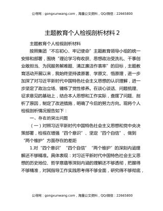 主题教育个人检视剖析材料2
