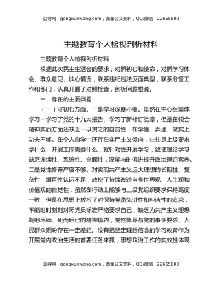 主题教育个人检视剖析材料（2）