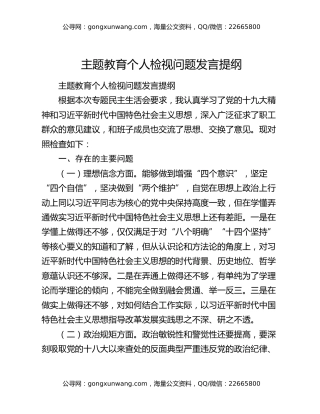 主题教育个人检视问题发言提纲