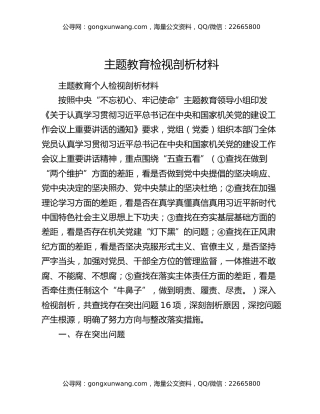 主题教育检视剖析材料