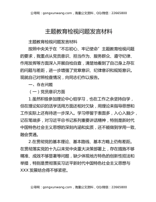 主题教育检视问题发言材料