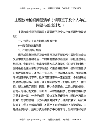 主题教育检视问题清单（领导班子及个人存在问题与整改计划）