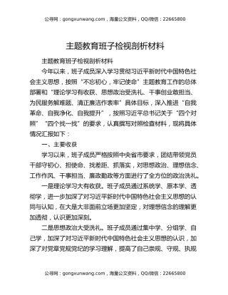 主题教育班子检视剖析材料