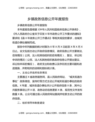 乡镇政务信息公开年度报告