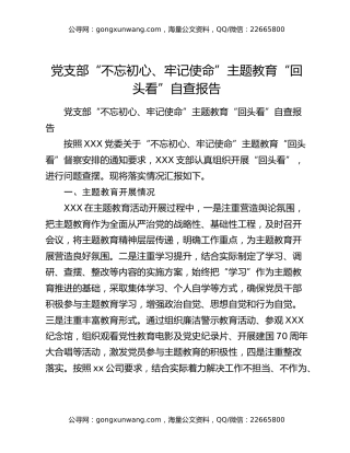 党支部“不忘初心、牢记使命”主题教育“回头看”自查报告