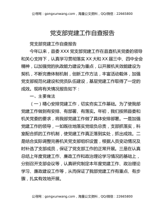 党支部党建工作自查报告