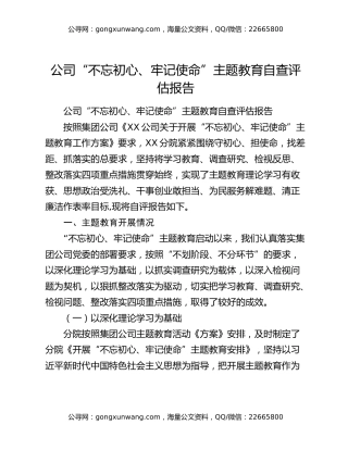 公司“不忘初心、牢记使命”主题教育自查评估报告