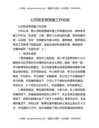 公司党支部党建工作总结