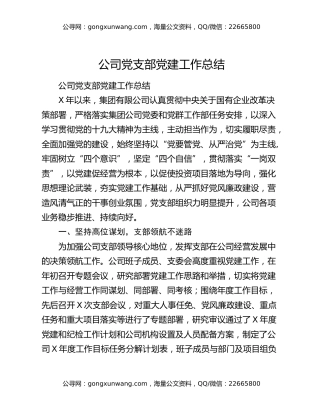 公司党支部党建工作总结（2）