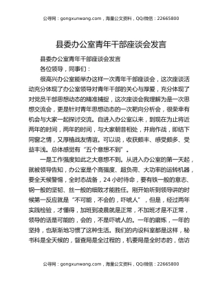 县委办公室青年干部座谈会发言（2）