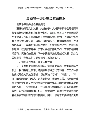 县领导干部务虚会发言提纲（2）