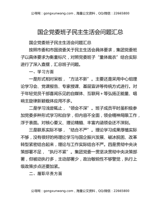 国企党委班子民主生活会问题汇总（2）