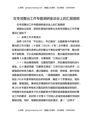 在专项整治工作专题调研座谈会上的汇报提纲