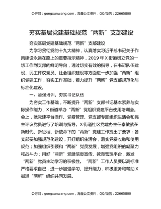 夯实基层党建基础规范“两新”支部建设