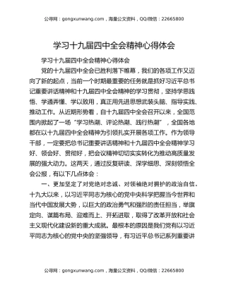 学习十九届四中全会精神心得体会