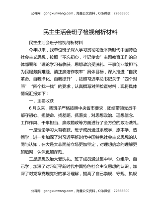 民主生活会班子检视剖析材料（2）