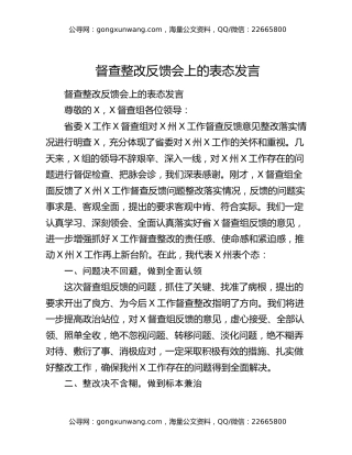 督查整改反馈会上的表态发言