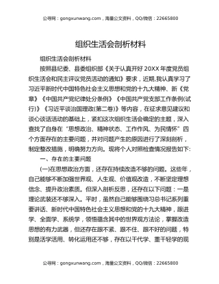 组织生活会剖析材料