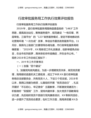 行政审批服务局工作执行效果评估报告
