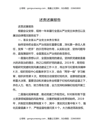 述责述廉报告（4）