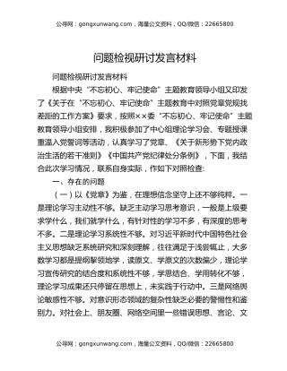问题检视研讨发言材料