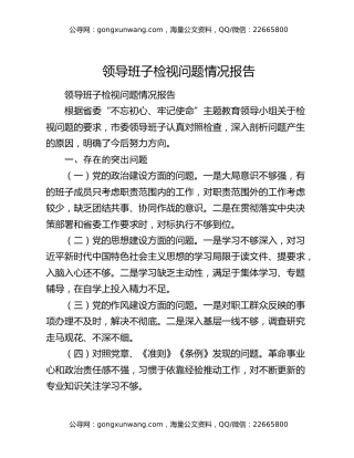 领导班子检视问题情况报告