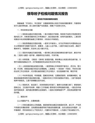 领导班子检视问题情况报告（2）