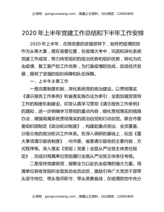 2020年上半年党建工作总结和下半年工作安排
