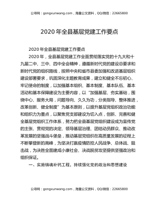 2020年全县基层党建工作要点