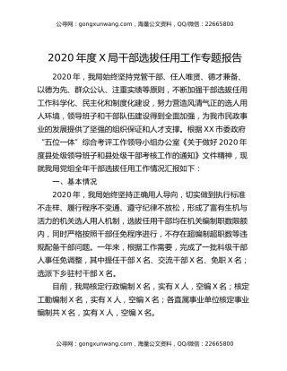 2020年度X局干部选拔任用工作专题报告