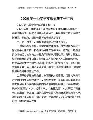 2020第一季度党支部党建工作汇报