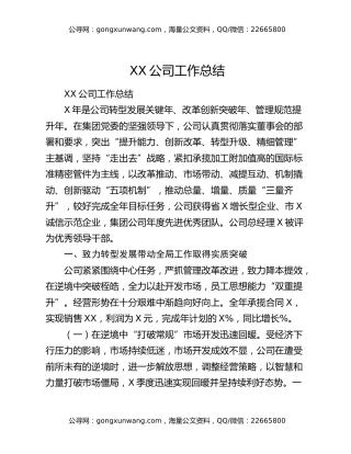 XX公司工作总（2）