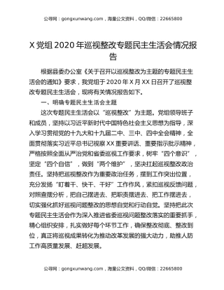 X党组2020年巡视整改专题民主生活会情况报告