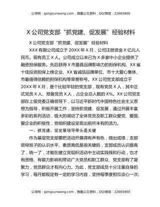 X公司党支部“抓党建、促发展”经验材料