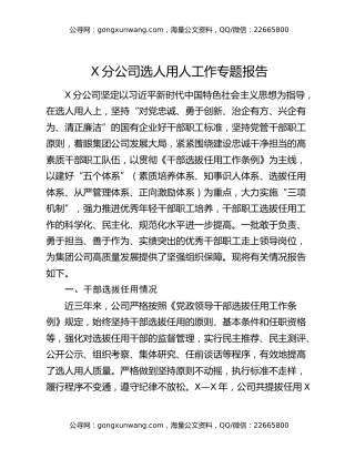 X分公司选人用人工作专题报告