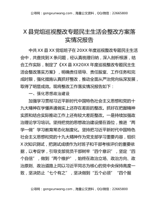 X县党组巡视整改专题民主生活会整改方案落实情况报告
