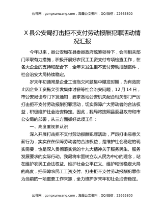 X县公安局打击拒不支付劳动报酬犯罪活动情况汇报