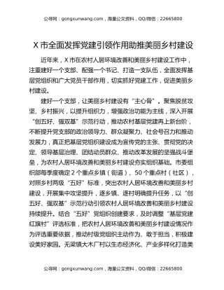 X市全面发挥党建引领作用助推美丽乡村建设