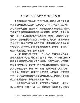 X市委书记在全会上的研讨发言