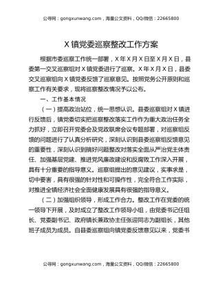 X镇党委巡察整改工作方案