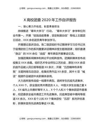 X高校团委2020年工作自评报告