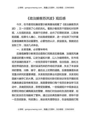 《政治掮客苏洪波》观后感