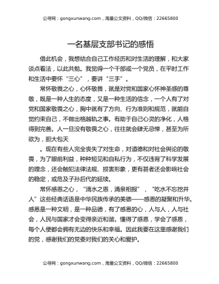 一名基层支部书记的感悟