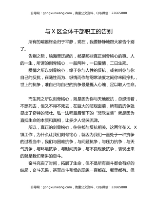 与X区全体干部职工的告别