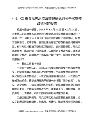 中共XX市食品药品监督管理局党组关于巡察整改情况的报告