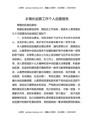 乡镇长巡察工作个人自查报告