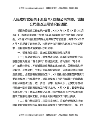 人民政府党组关于巡察XX国投公司党委、城投公司整改进展情况的通报