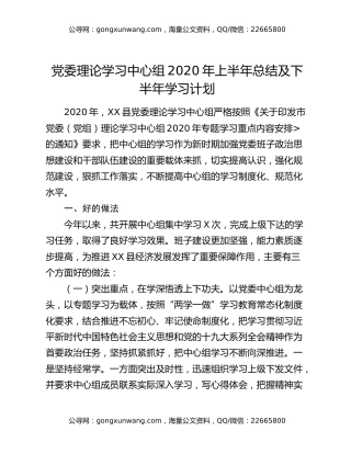 党委理论学习中心组2020年上半年总结及下半年学习计划