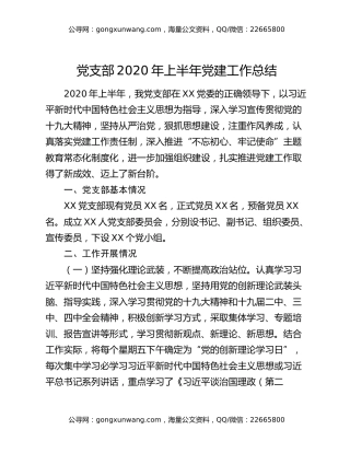 党支部2020年上半年党建工作总结
