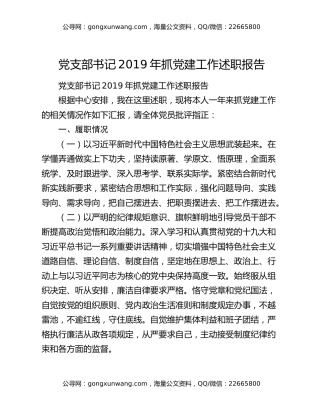 党支部书记2019年抓党建工作述职报告
